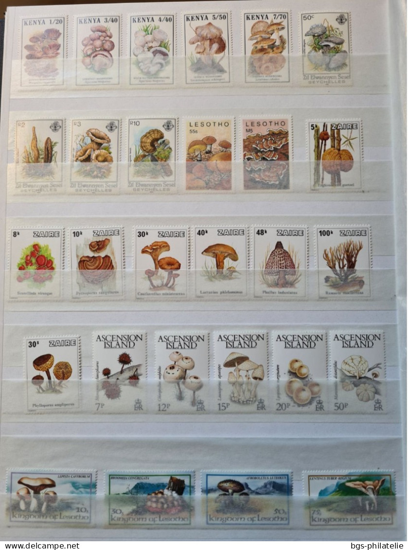 Collection De Timbres Sur Le Thème Des Champignons. - Collections (without Album)