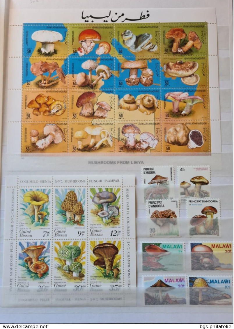 Collection De Timbres Sur Le Thème Des Champignons. - Collections (without Album)