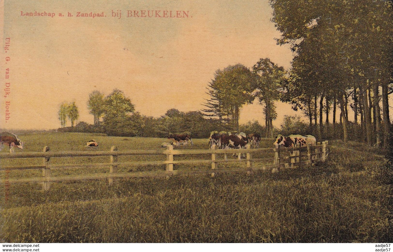 Breukelen Landschap Aan Het Zandpad 1915 Oorlogscorrespondentie - Breukelen