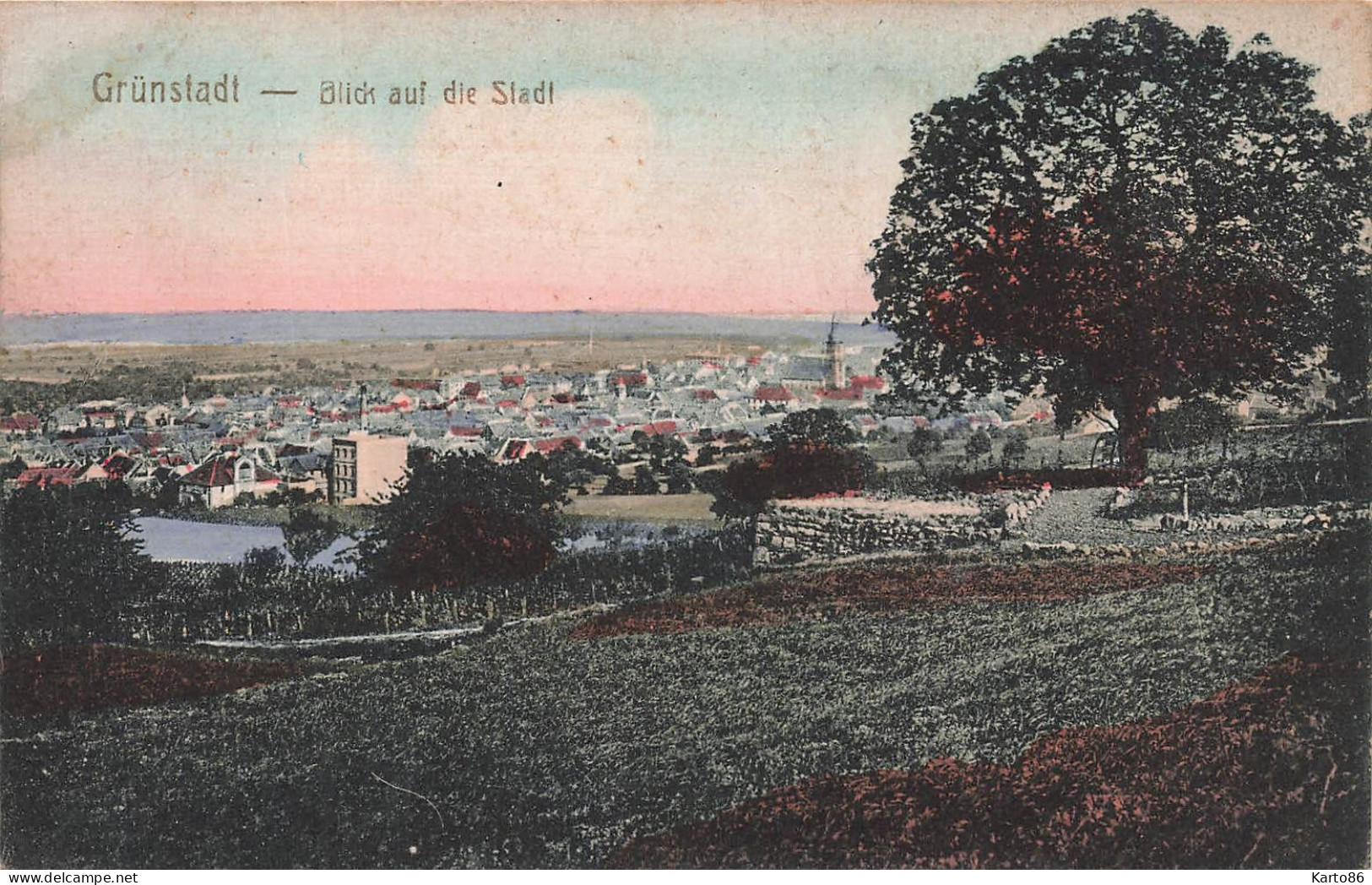 Grünstadt * Blick Auf Die Stadt * Gruenstadt Germany Allemagne - Grünstadt