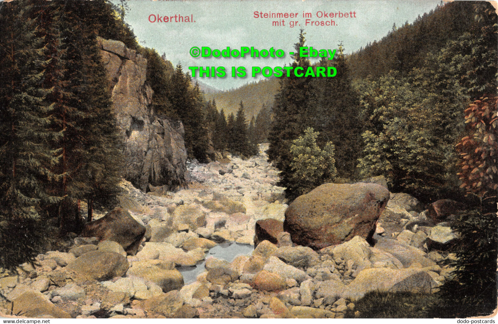 R428906 Okerthal. Steinmeer Im Okerbett Mit Gr. Frosch. 1910 - Mondo