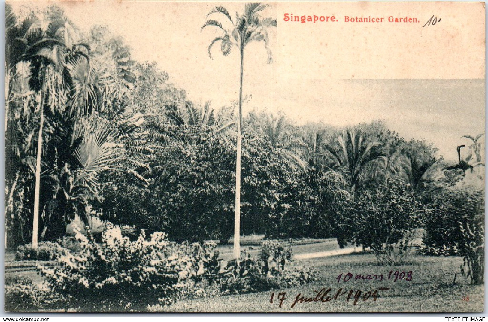 SINGAPORE - The Botanicer Garden. - Singapore