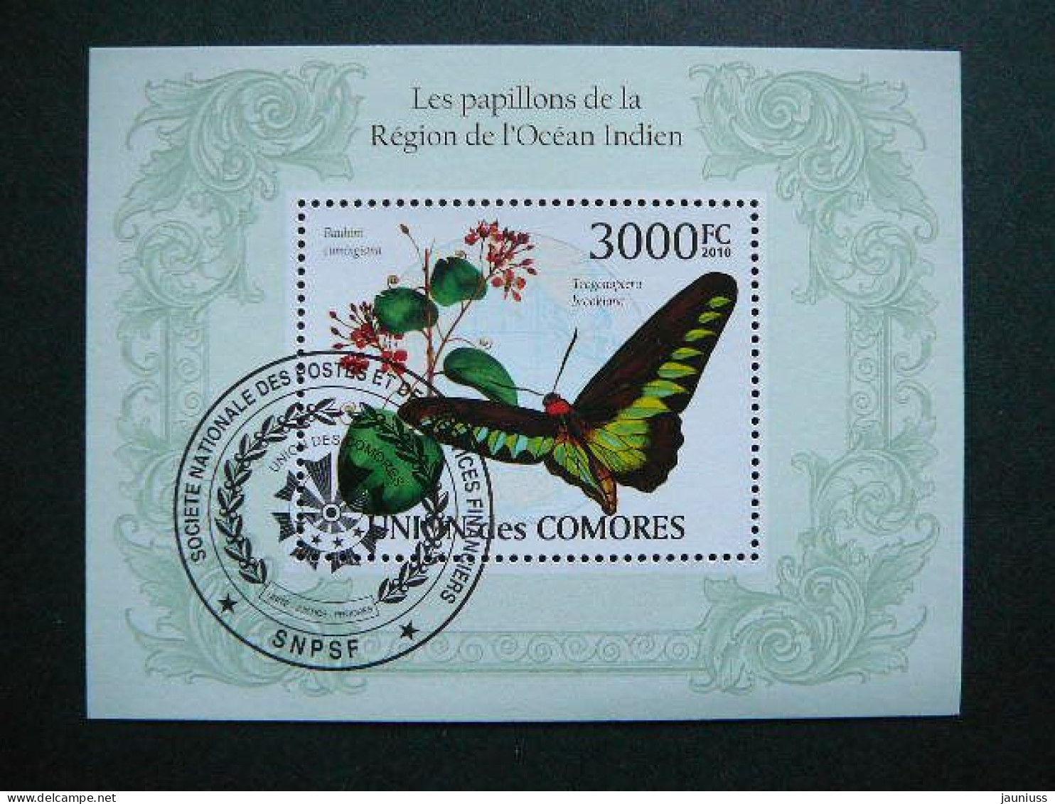 Butterflies. Schmetterlinge. Papillons  # Comoros 2010 Used S/s #536 Comores  Insects - Schmetterlinge