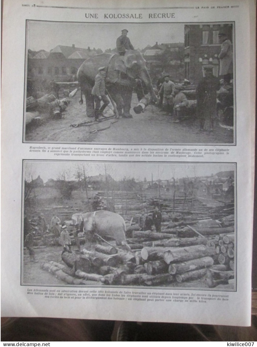 Guerre 14-18  Maubeuge  ELEPHANTS  Hagenbeck Marchand Armée Allemande - Unclassified