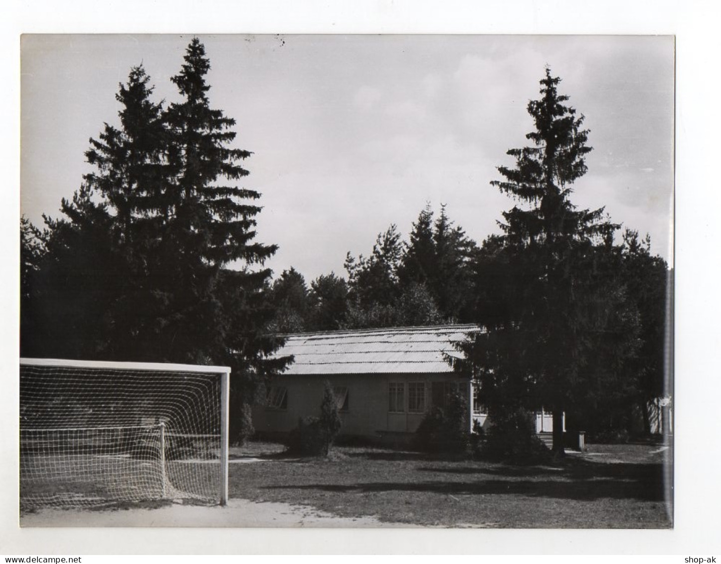 F6086/ Svenigorod Rußland Ferienlager Der Jungen Pioniere Foto Ca.1960 24 X 18cm - Unclassified