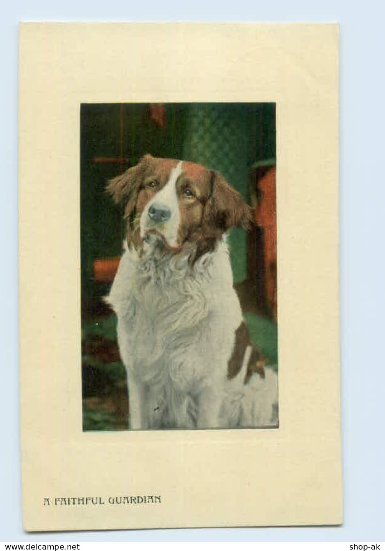 Y8915/ Hunde AK  A Faithful Guardian   AK 1908  Valentinne`s Series - Cani