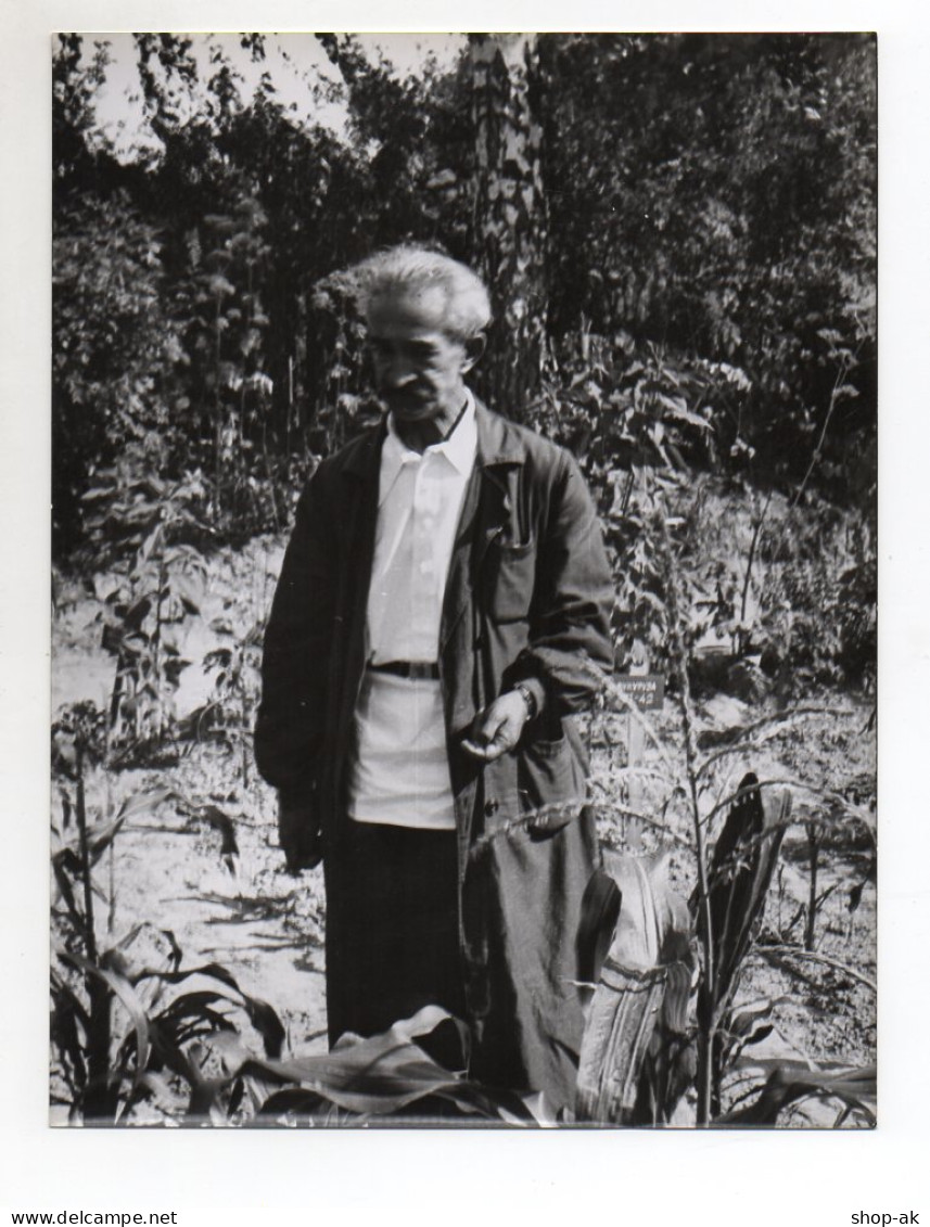 F6089/ Svenigorod Rußland Ferienlager Der Jungen Pioniere Foto Ca.1960 24 X 18cm - Ohne Zuordnung