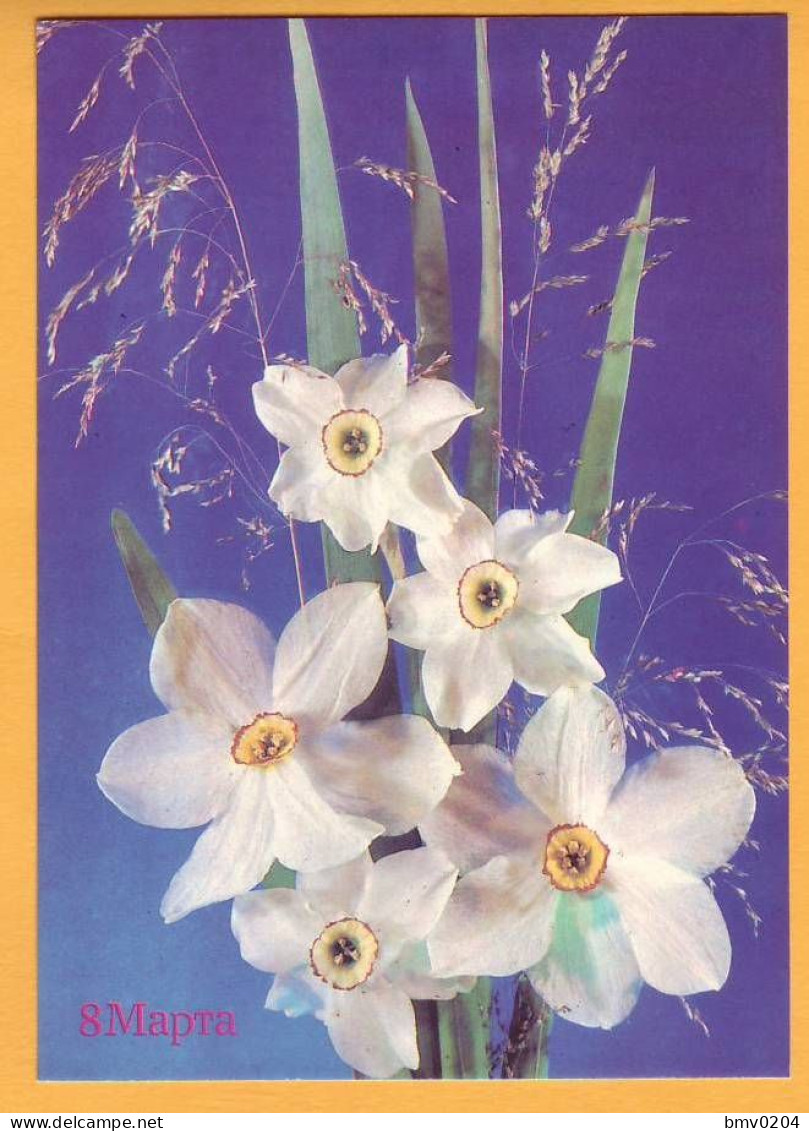 1990 RUSSIA RUSSIE USSR URSS  Postcard  Bouquet Of Flowers. 8 March. Daffodils. - 1980-91