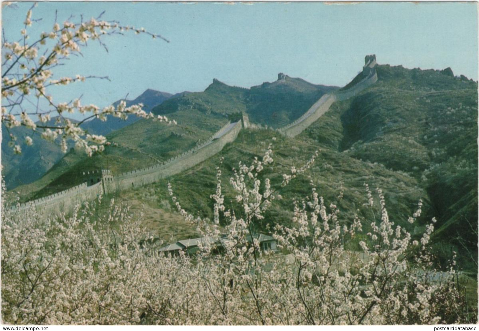 Spring At The The Great Wall - China