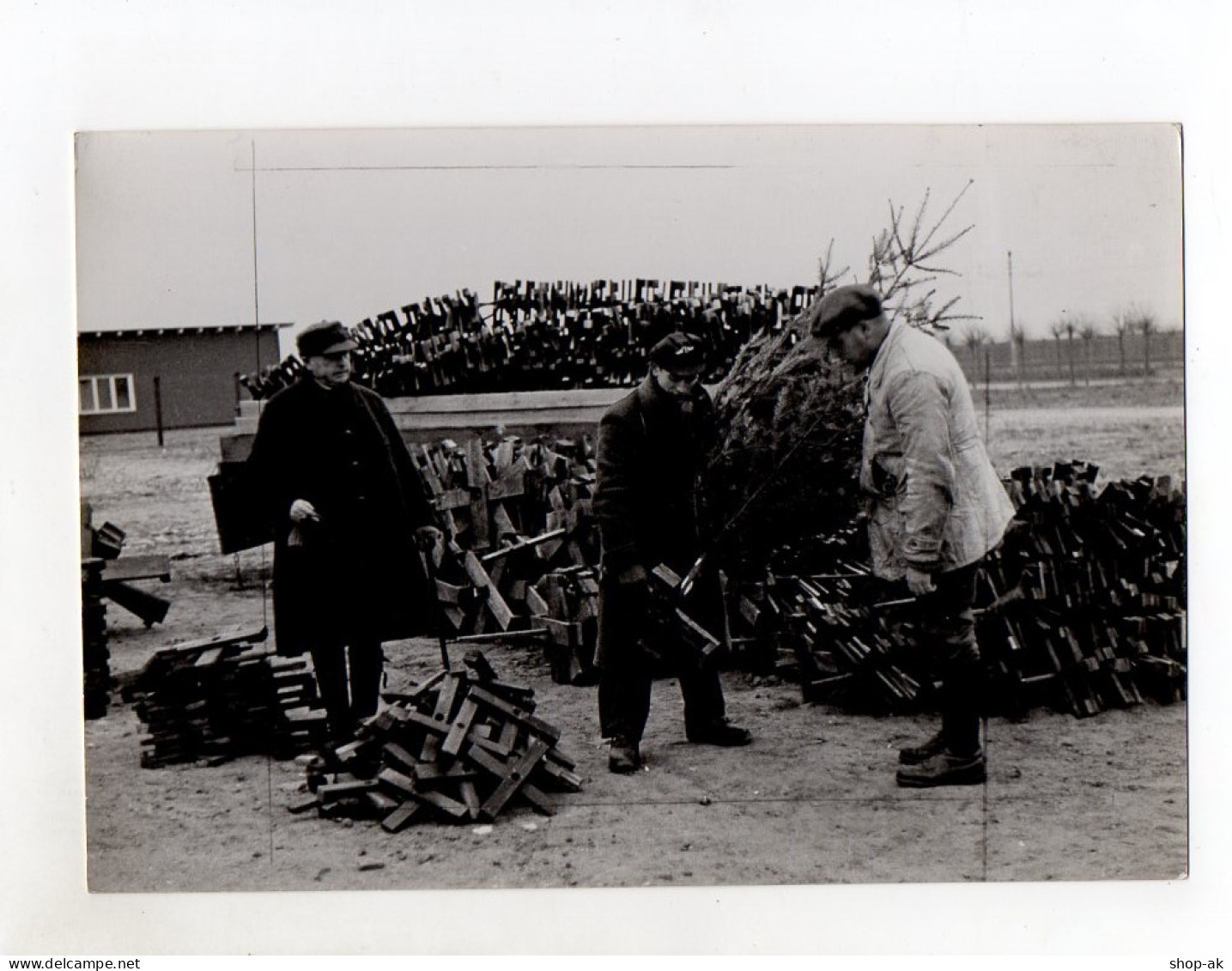 F6127/ Tannenbaumfüße Für Weihnachtsbaumverkäufer Foto Ca.1950 23,5 X 16,5 Cm - Unclassified