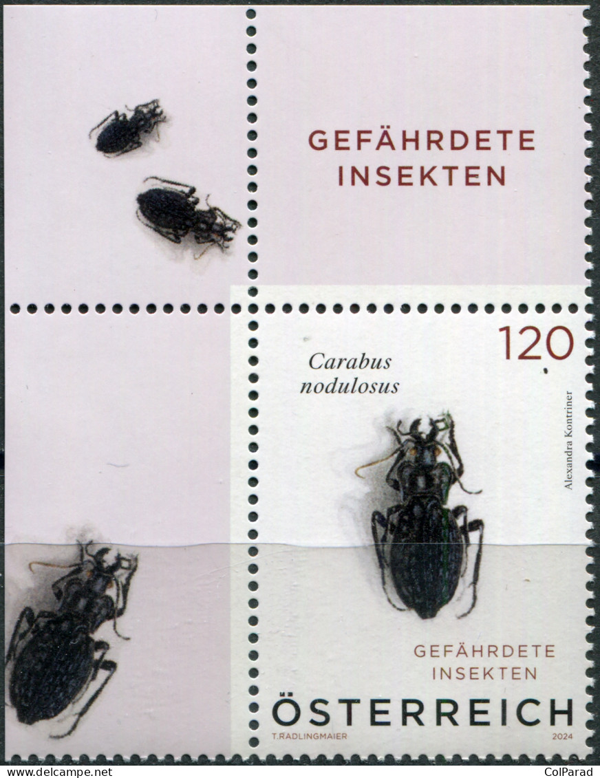 AUSTRIA - 2024 - STAMP MNH ** - Black Pit Beetle (Carabus Nodulosus) (II) - Ungebraucht