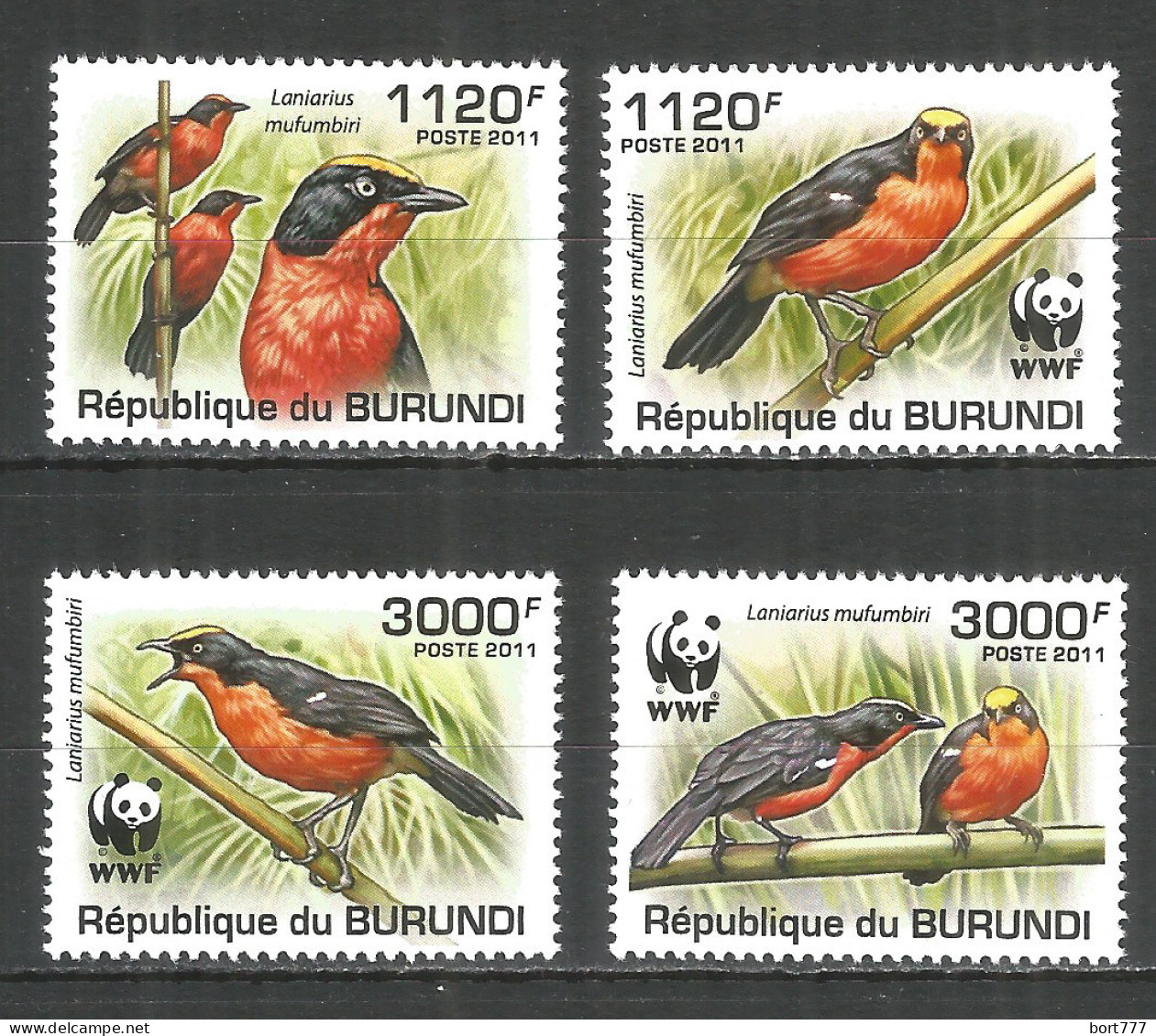 Burundi 2011 Mint Stamps MNH(**) WWF - The Papyrus Gonolek Bird (bright) - Nuovi