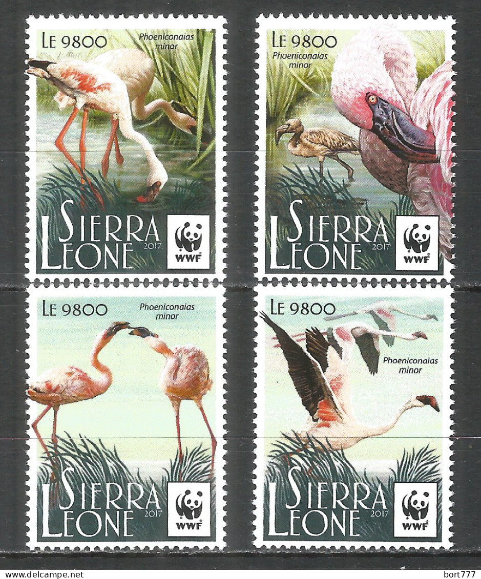 Sierra Leone 2017 Mint Stamps MNH(**) WWF - Lesser Flamingo - Sierra Leona (1961-...)