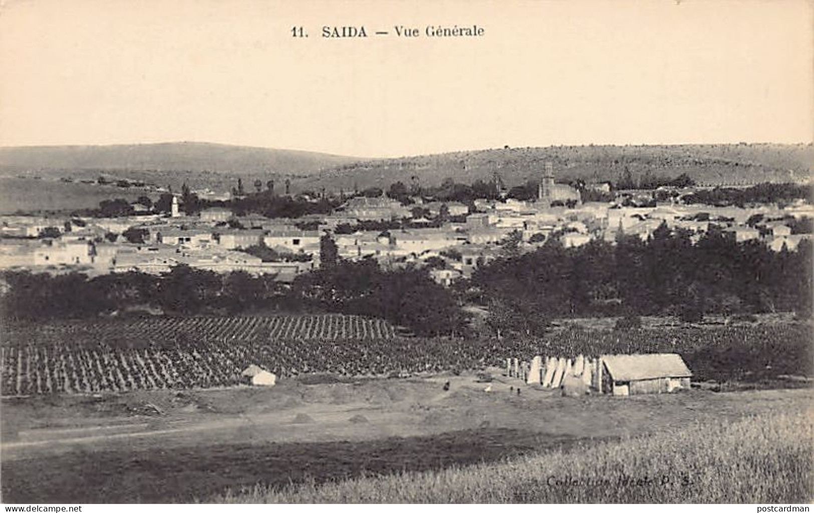 SAÏDA - Vue Générale - Saida