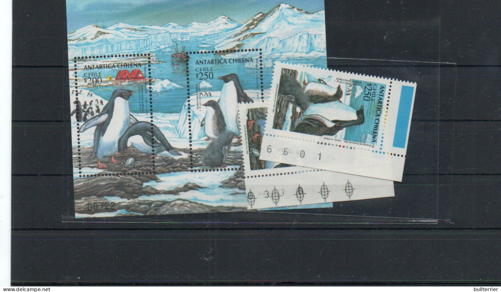 CHILE - 1993 - ANTRACTIC PENGUINS SET OF 2 + SOUVENIR SHEET  MINT NEVER HINGED - Cile