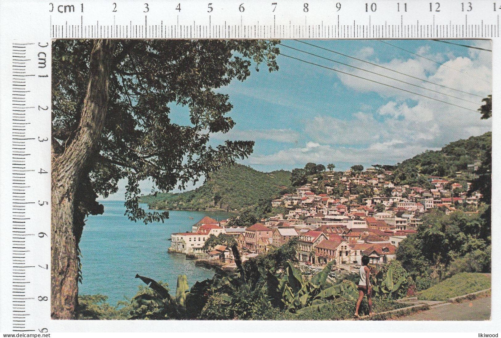 View Of Section Of St. George's, Capital Of Grenada, Showing Terraced Hillside Buildings - Grenada, West Indies - Grenada