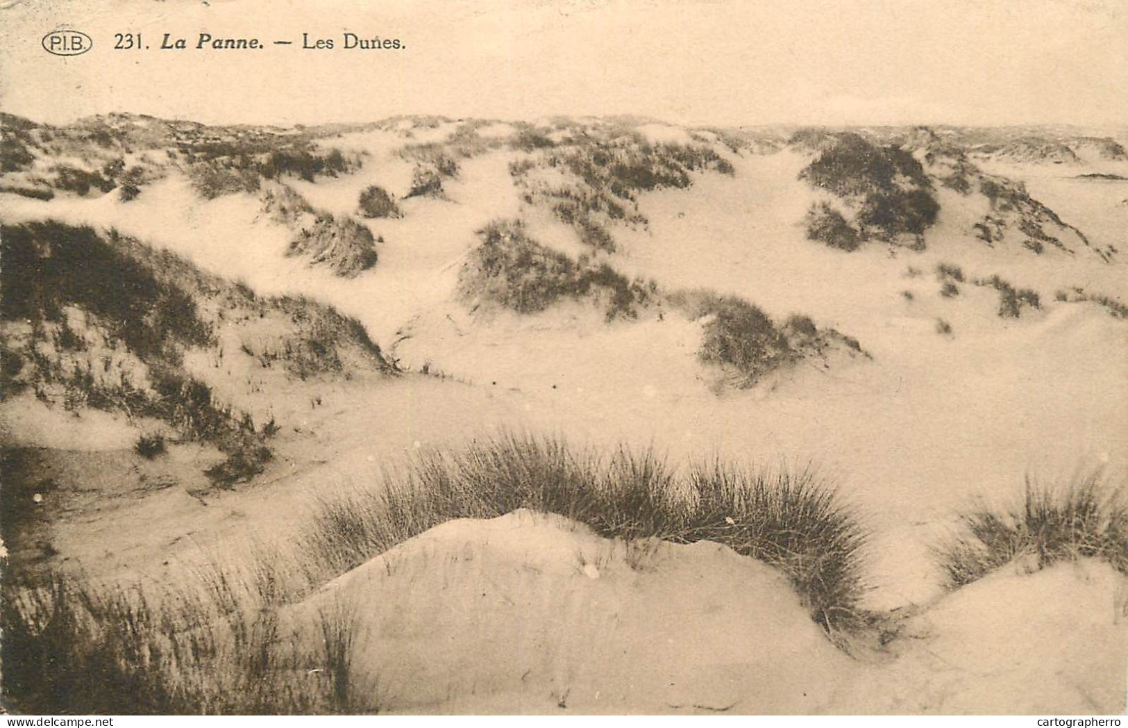 Belgique Cpa La Panne Les Dunes - Autres & Non Classés