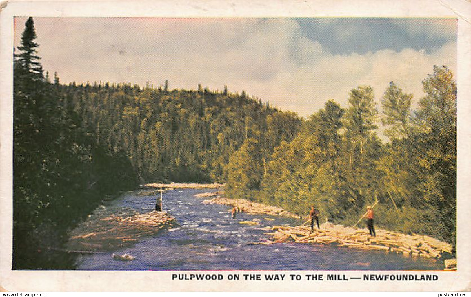 Newfoundland - Pulpwood On The Way To The Mill - Publ. Guardian Associates Ltd.  - Andere & Zonder Classificatie