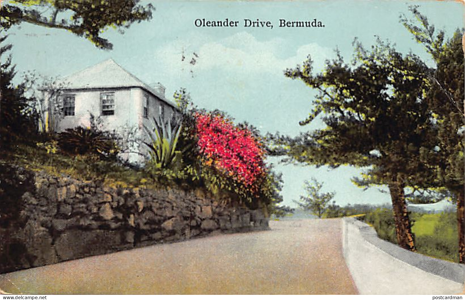 Bermuda - Oleander Drive - Publ. Yankee Store & Phoenix Drug Store 84 - Bermuda