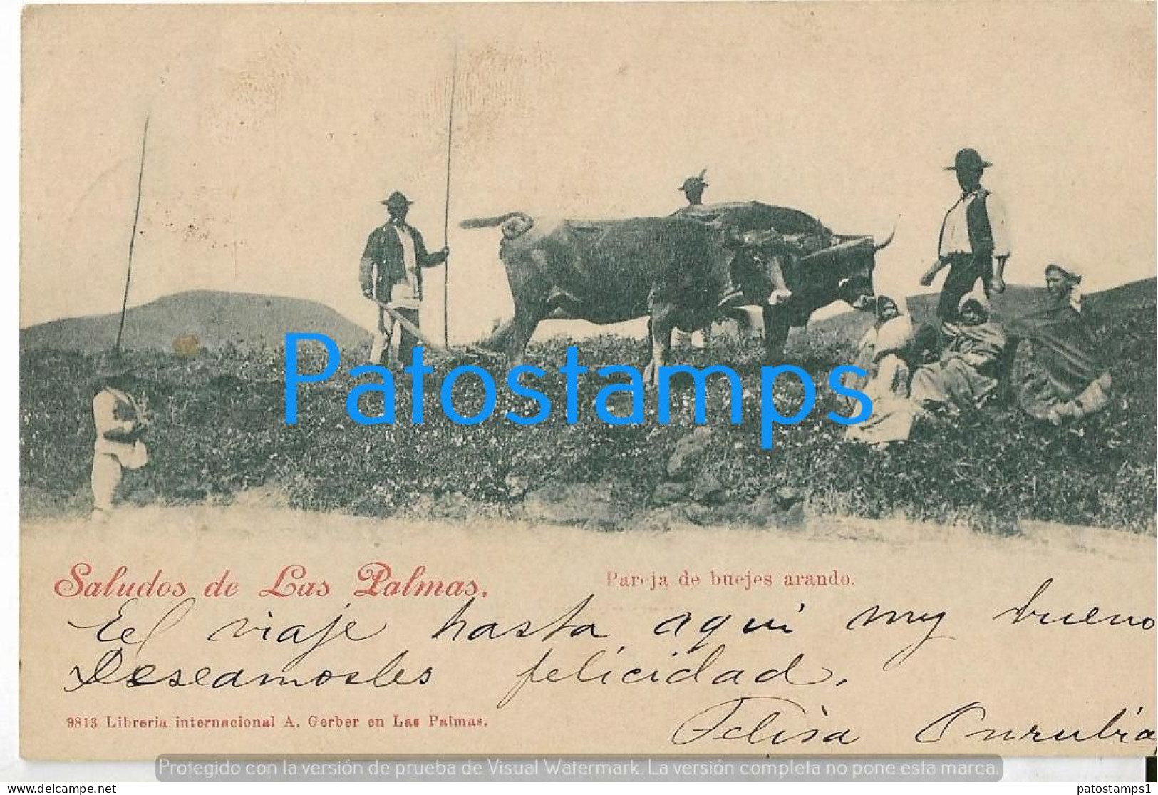 227381 SPAIN ESPAÑA LAS PALMAS COSTUMES PEOPLE & PAREJA DE BUEYES ARANDO CIRCULATED TO ARGENTINA  POSTAL POSTCARD - Andere & Zonder Classificatie