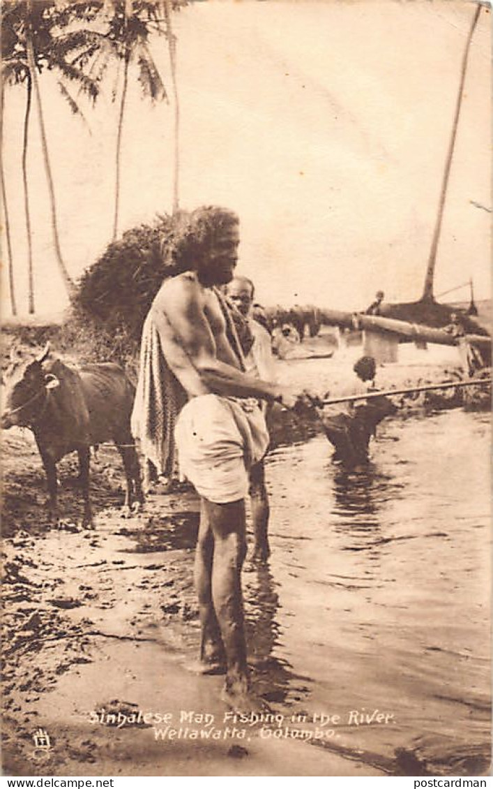 Sri Lanka - COLOMBO - Sinhalese Man Fishing In The River, Wellawatta - Publ. Rapahel Tuck & Sons  - Sri Lanka (Ceylon)