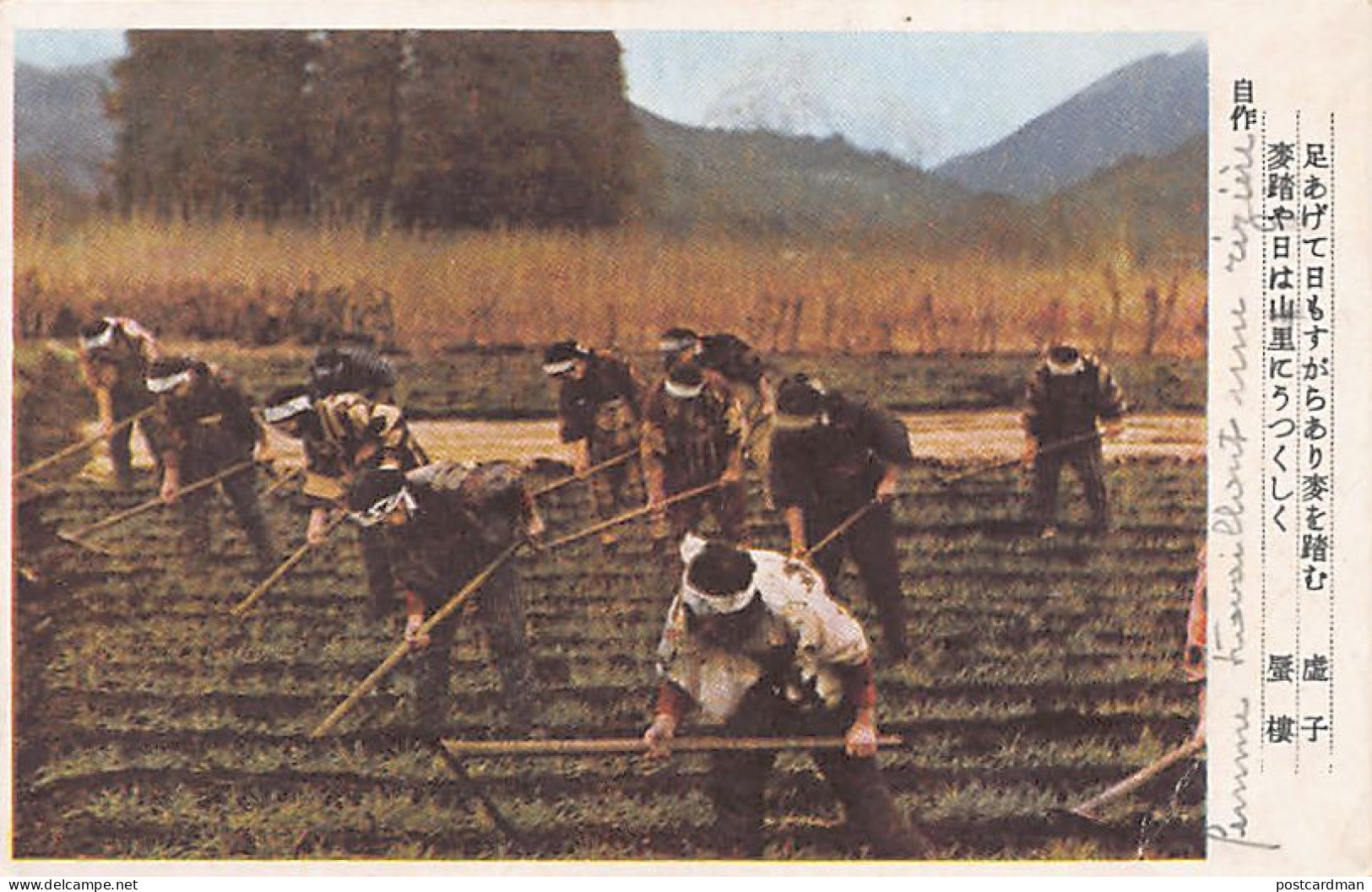 Japan - Women Workers On A Ricefield - Publ. Unknown  - Otros & Sin Clasificación
