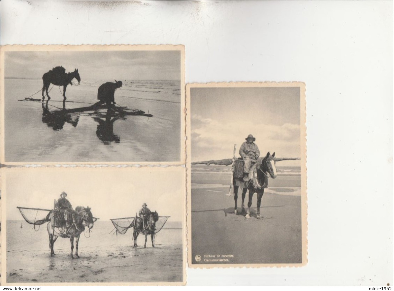 De Haan Aan Zee , Le Coq Sur Mer , LOT De 3 Cartes , Pêcheur De Crevettes - De Haan