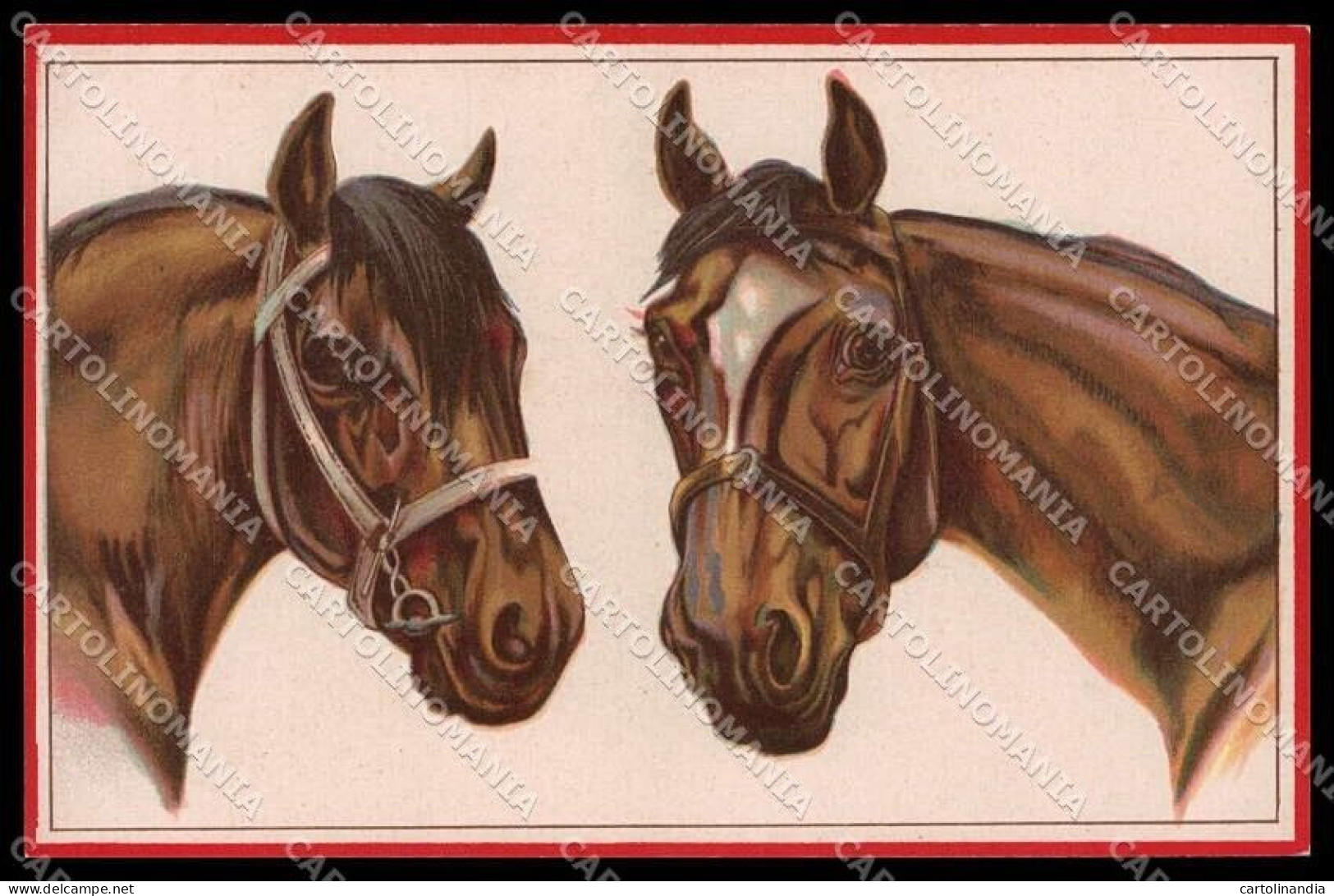 Illustratori Artist Signed Norfini Horse Pferd Cheval Serie 713-5 Pc ZG6037 - Altri & Non Classificati
