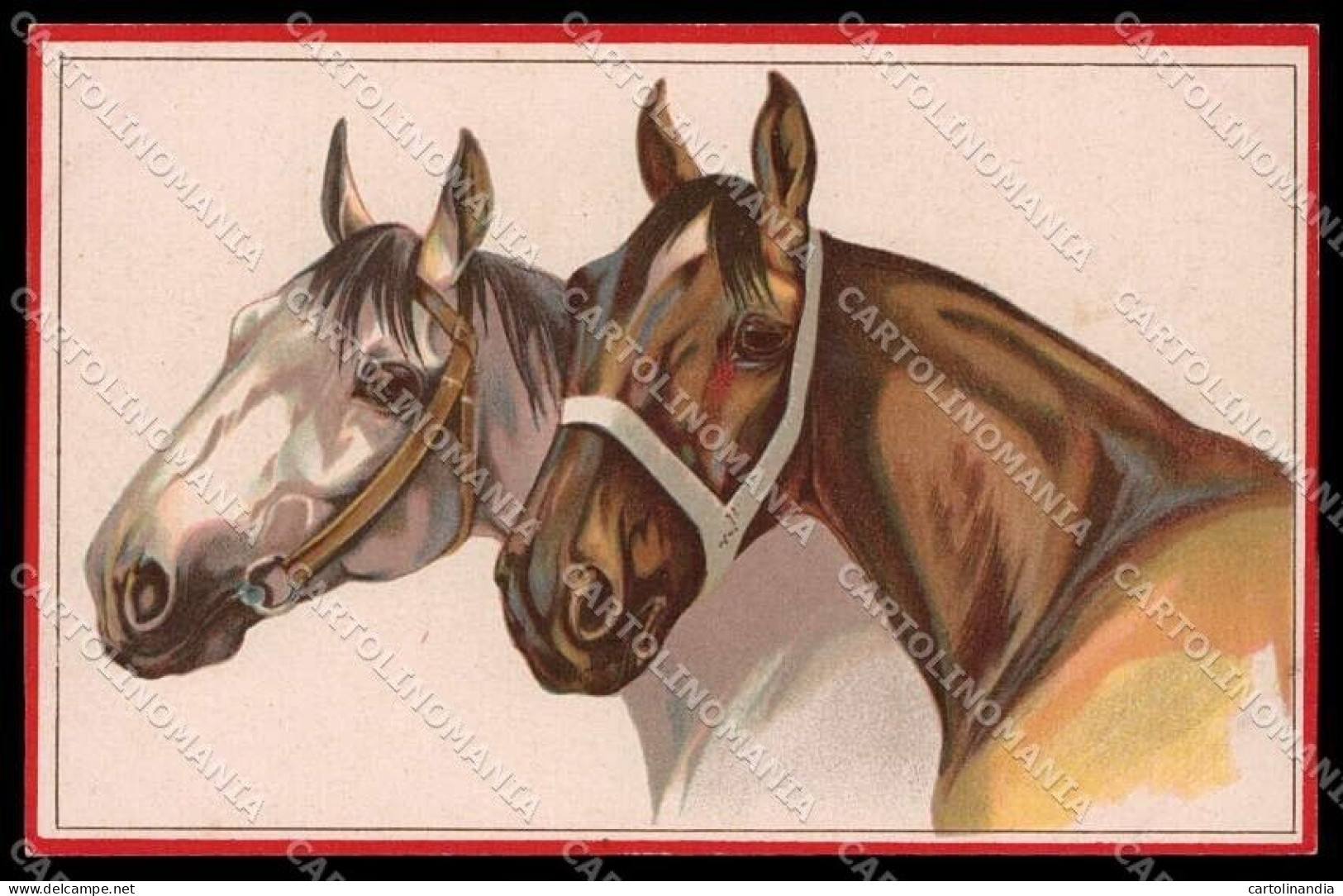 Illustratori Artist Signed Norfini Horse Pferd Cheval Serie 713-6 Pc ZG6038 - Altri & Non Classificati