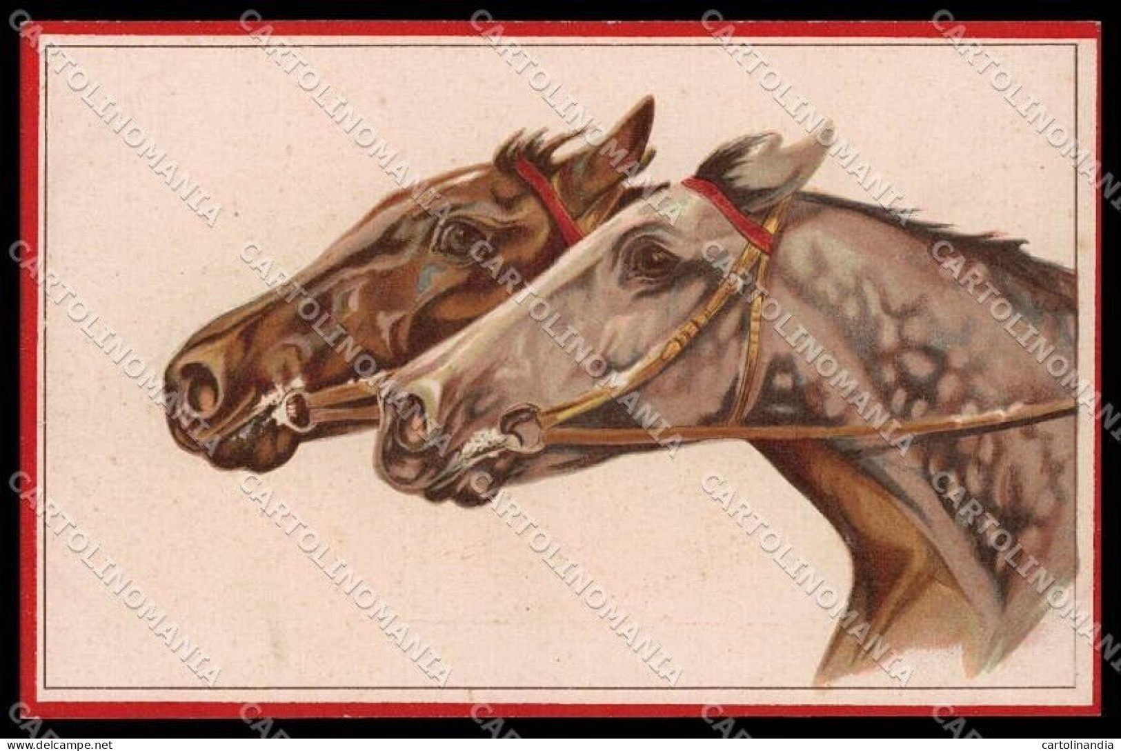 Illustratori Artist Signed Norfini Horse Pferd Cheval Serie 713-1 Pc ZG6036 - Altri & Non Classificati