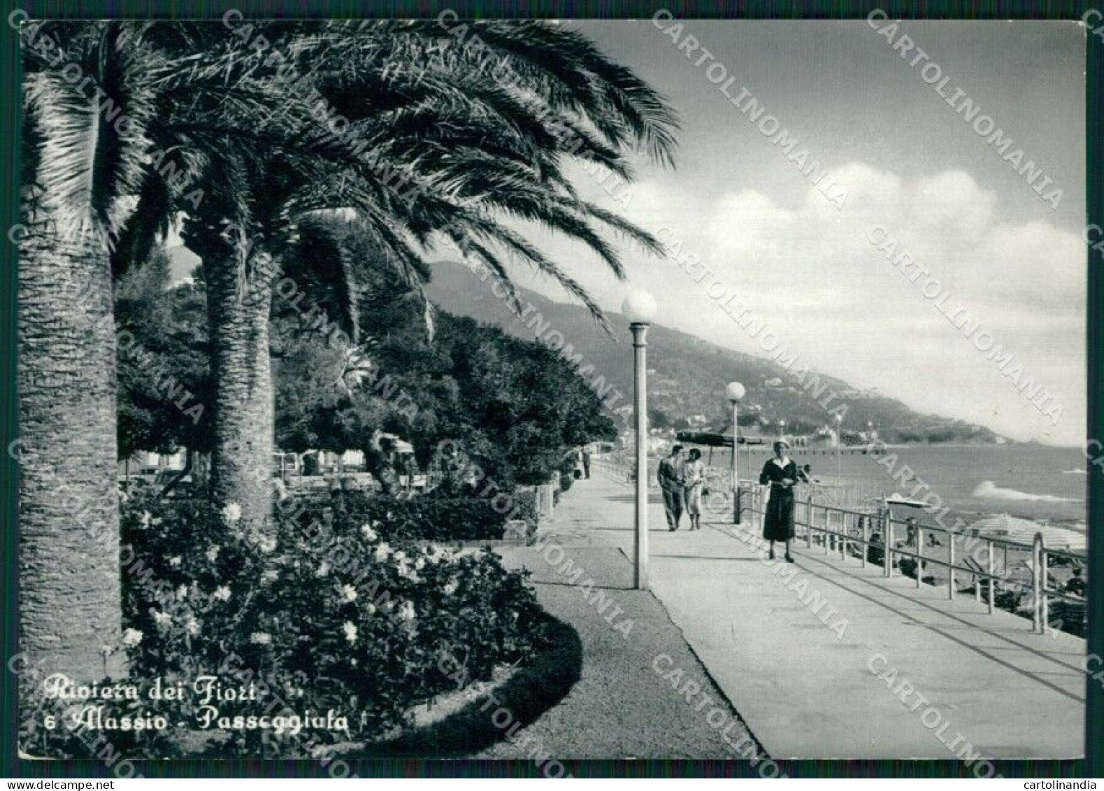 Savona Alassio PIEGHINA FG Foto Cartolina KB5391 - Savona