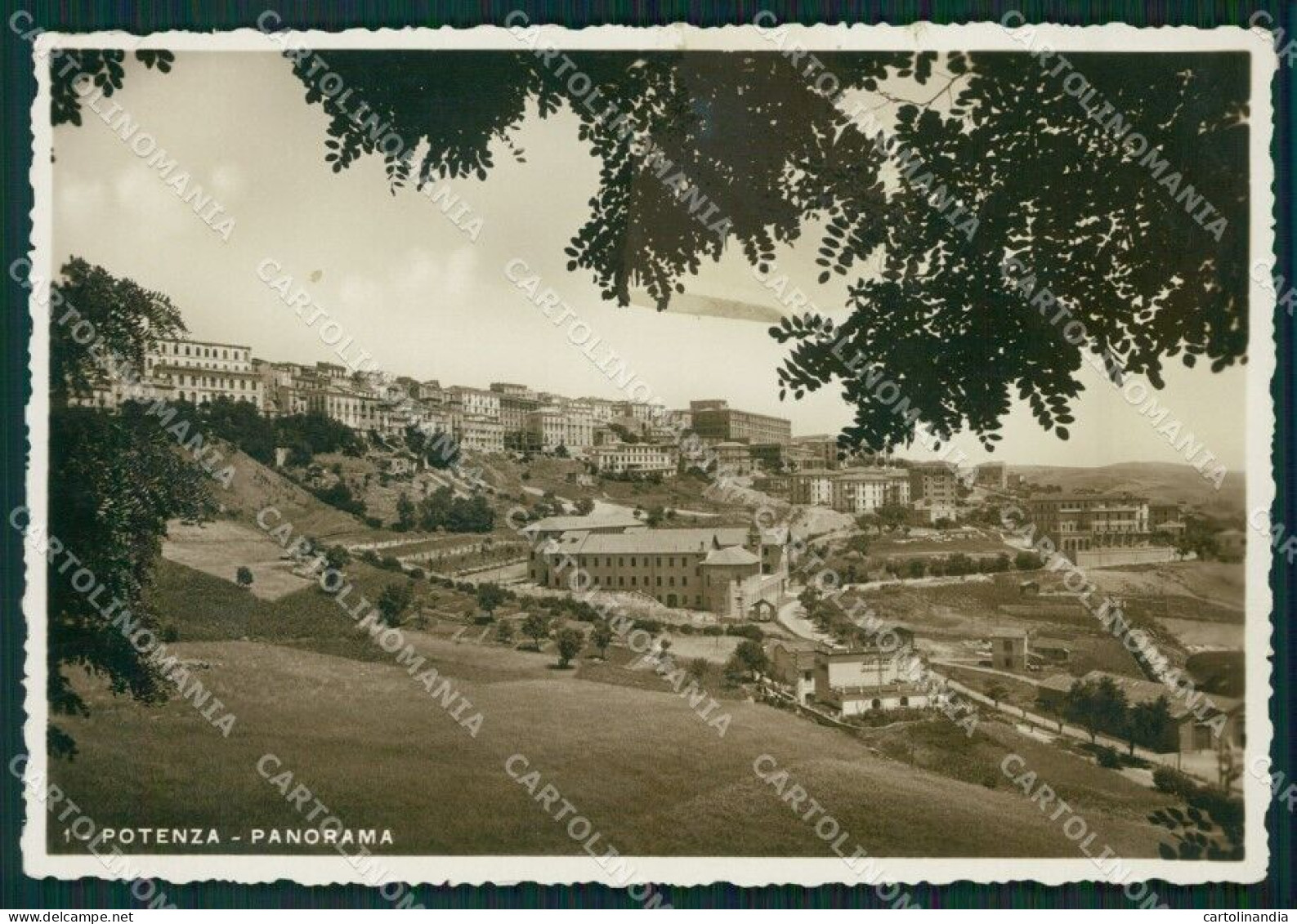 Potenza Città RETRO BIANCO PIEGA Foto FG Cartolina ZK6172 - Potenza