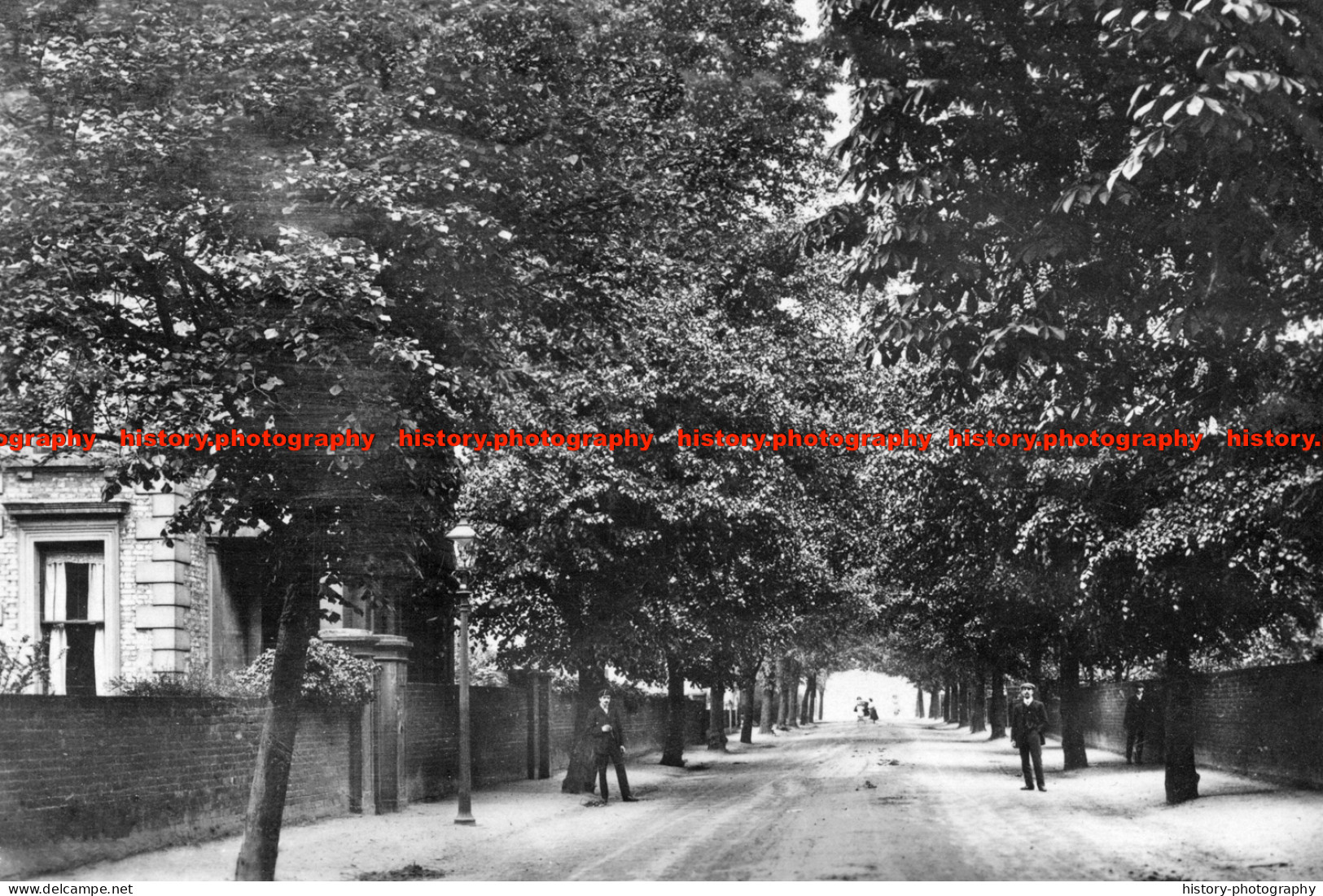 F006286 Ilford. Park Avenue. London. 1908 - REPRODUCTION - Other & Unclassified