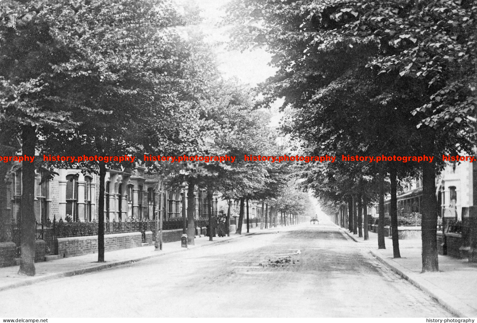 F006279 Hampshire. Portsmouth. Laburnum Grove - REPRODUCTION - Other & Unclassified