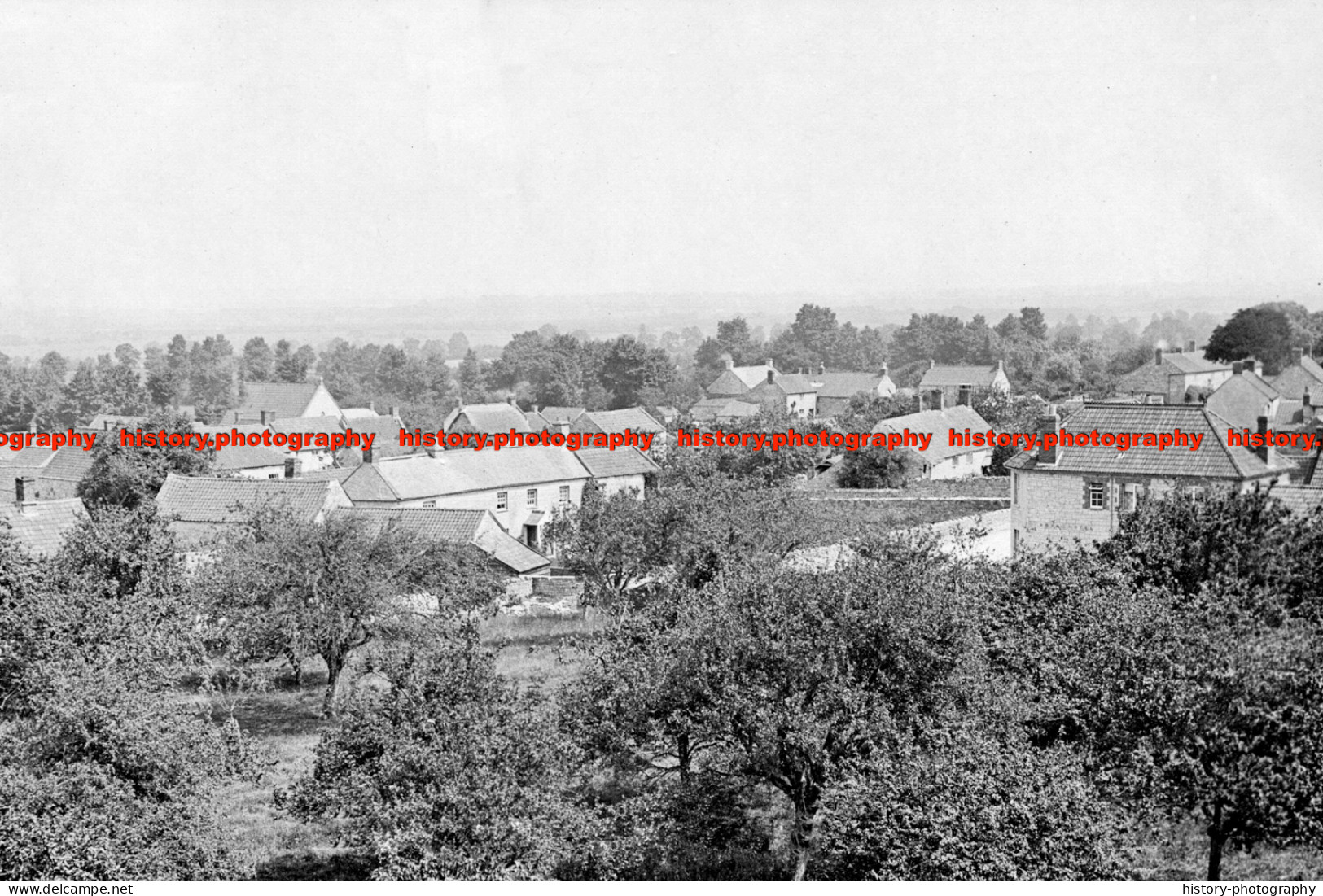 F006283 Somerset. Catcott. General View - REPRODUCTION - Other & Unclassified