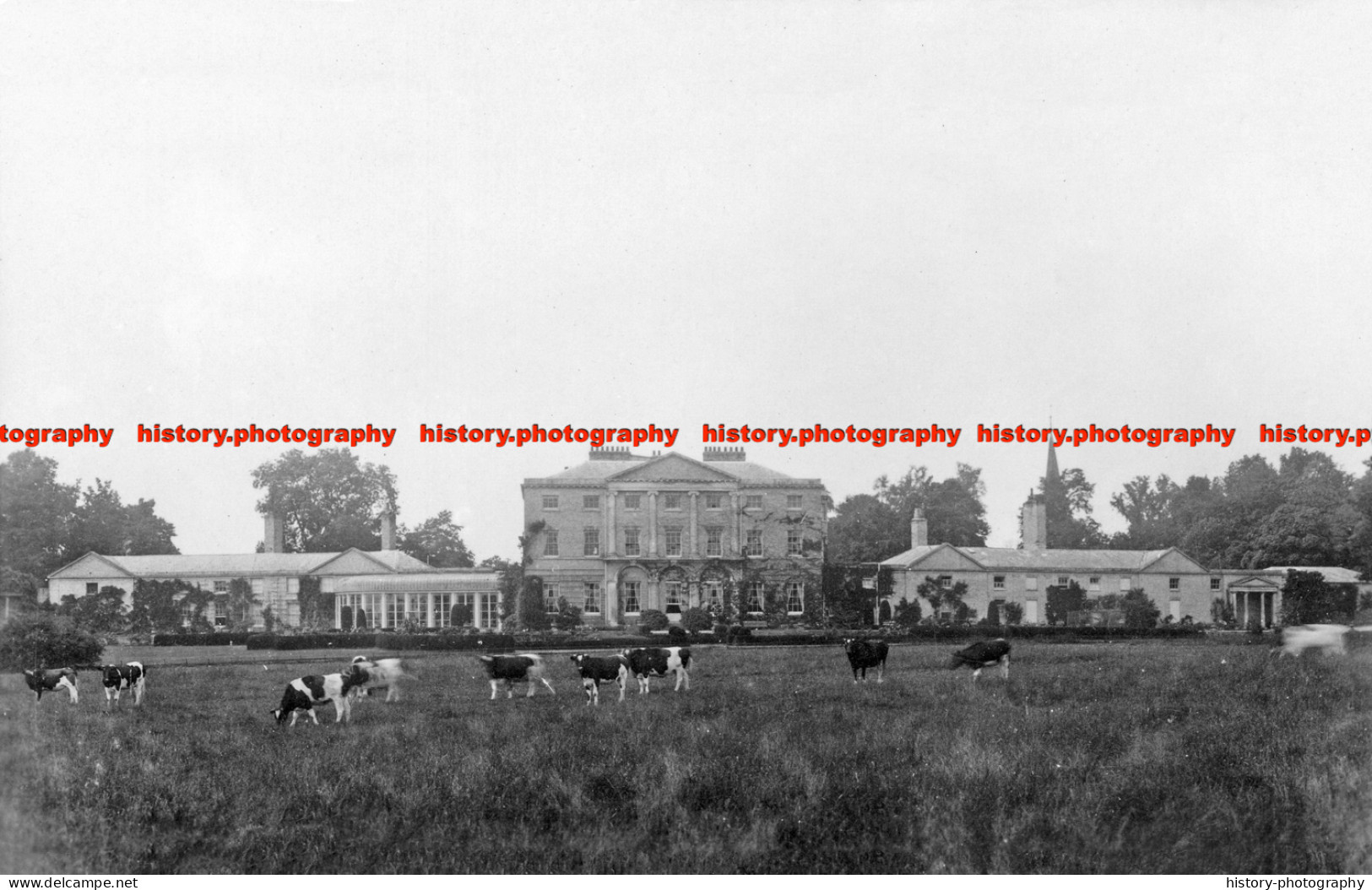 F006235 Essex. Terling. Terling Place. 1920 - REPRODUCTION - Other & Unclassified