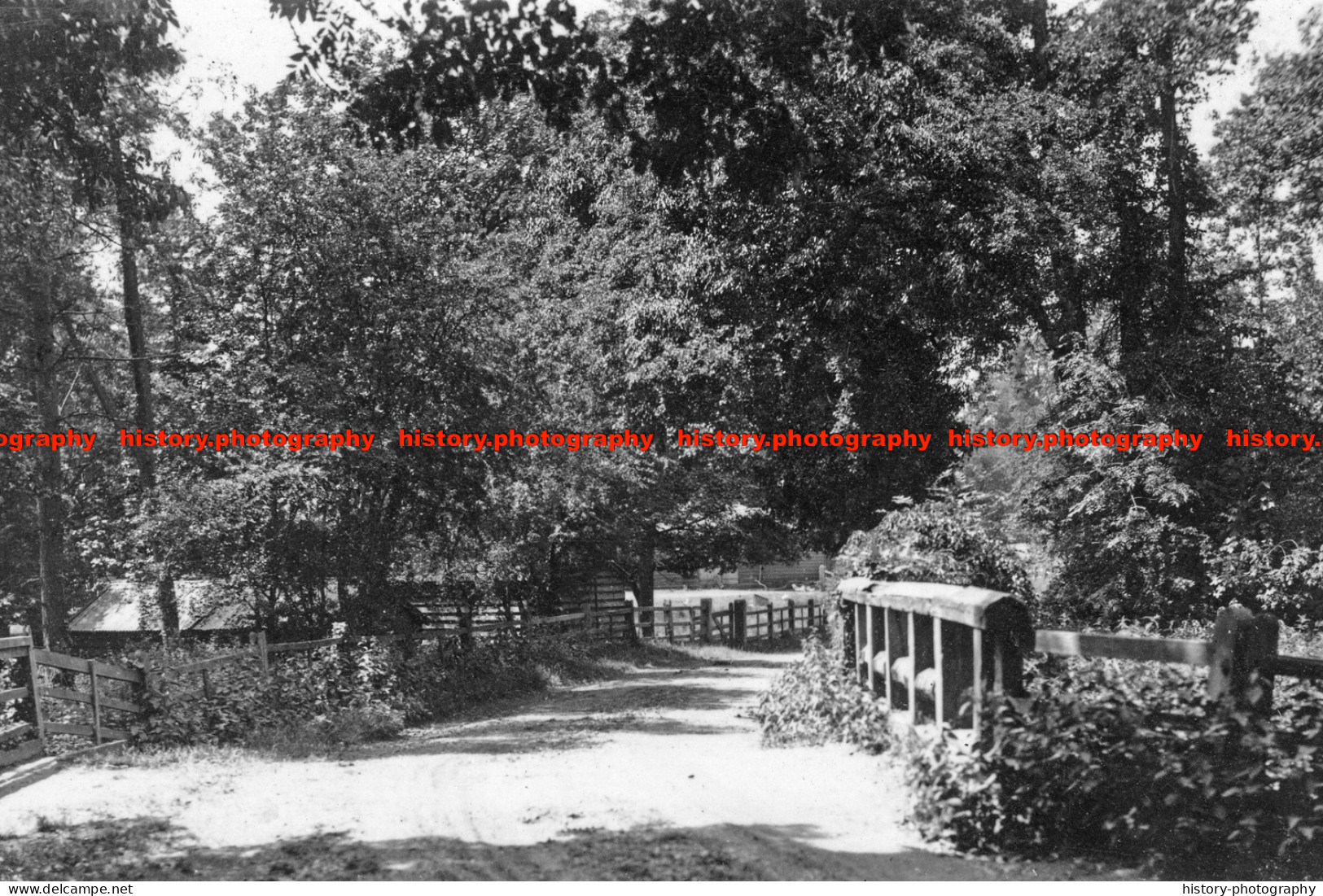 F006237 Terling. Old Dairy Bridge. 1920 - REPRODUCTION - Other & Unclassified