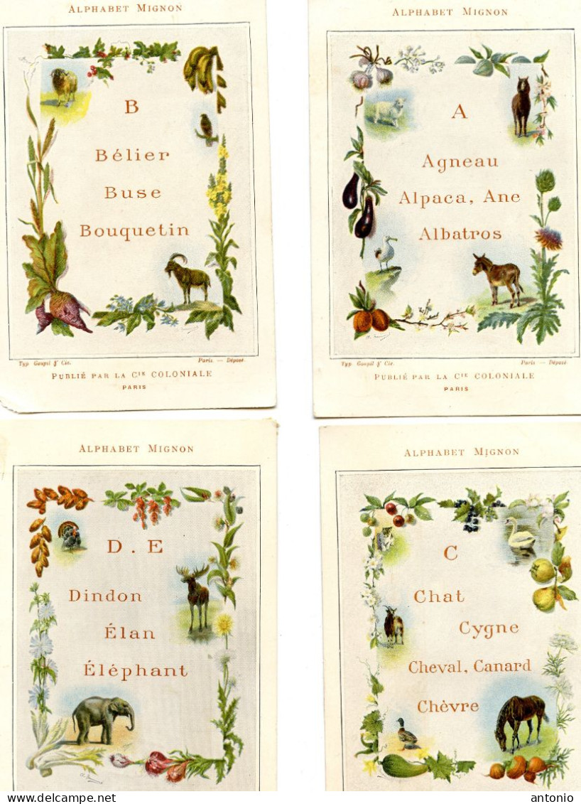 LOT DE QUATRE CHROMOS COMPAGNIE COLONIALE - ALPHABET MIGNON - A B C D E - Tea & Coffee Manufacturers