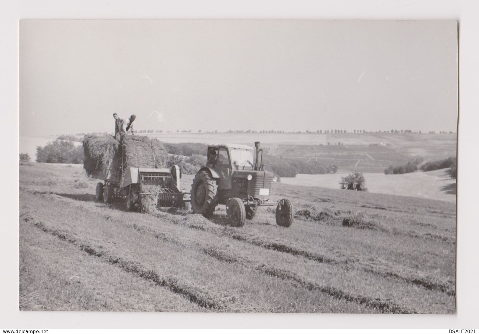 Old Farm Tractor On The Field, Scene, Vintage Orig Photo 12.5x8.3cm. (68556) - Coches