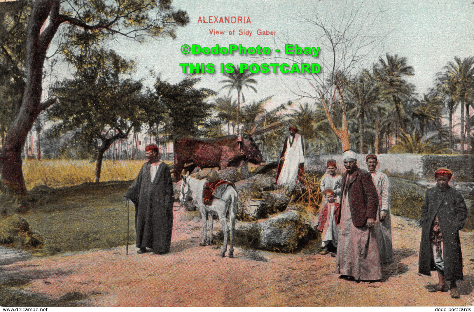 R429127 Alexandria. View Of Sidy Gaber. The Cairo Postcard Trust. Egypte - Mundo