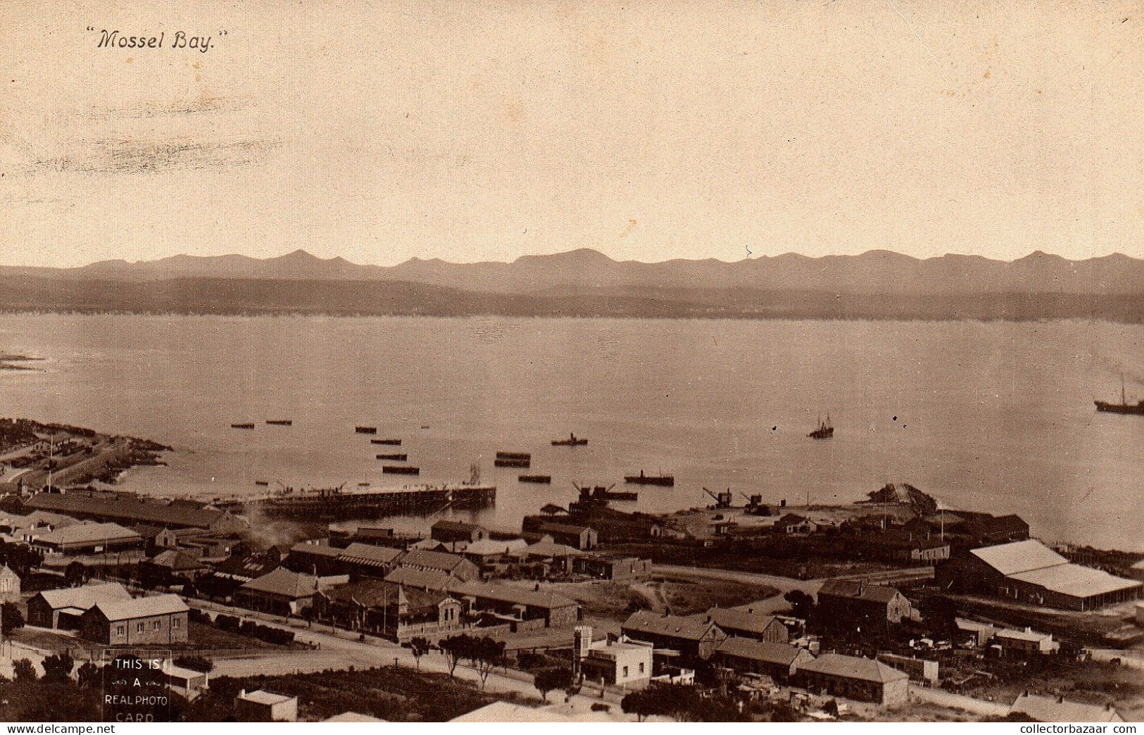 Mossel Bay Real Photo Postcard South Africa Published By H. E. Cushing Stationer - South Africa