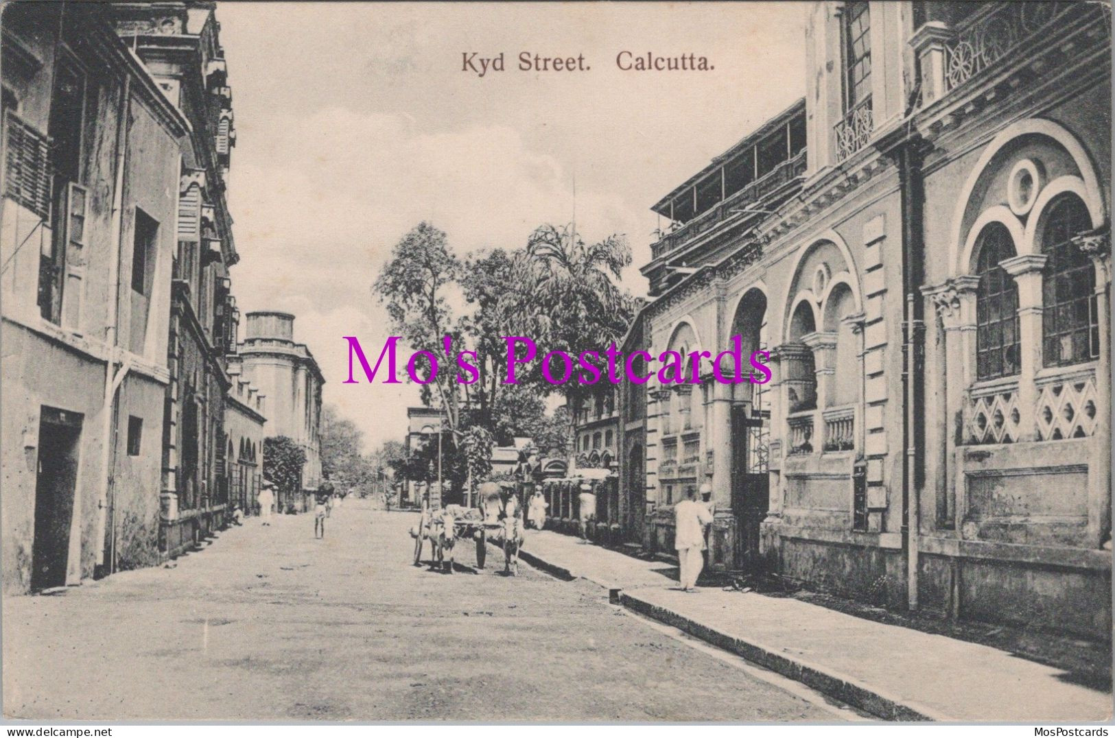 India Postcard - Kyd Street, Calcutta    DZ124 - Indien
