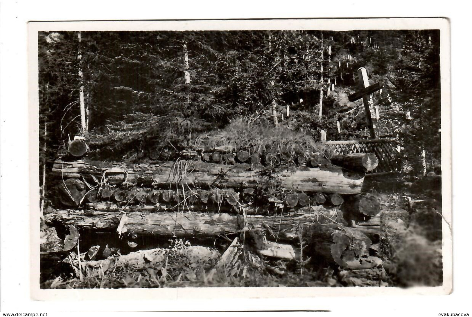 Podkarpatská Rus.Jasina.Bohdan-Balcatul.War Military Shelter And Grave. - Ukraine