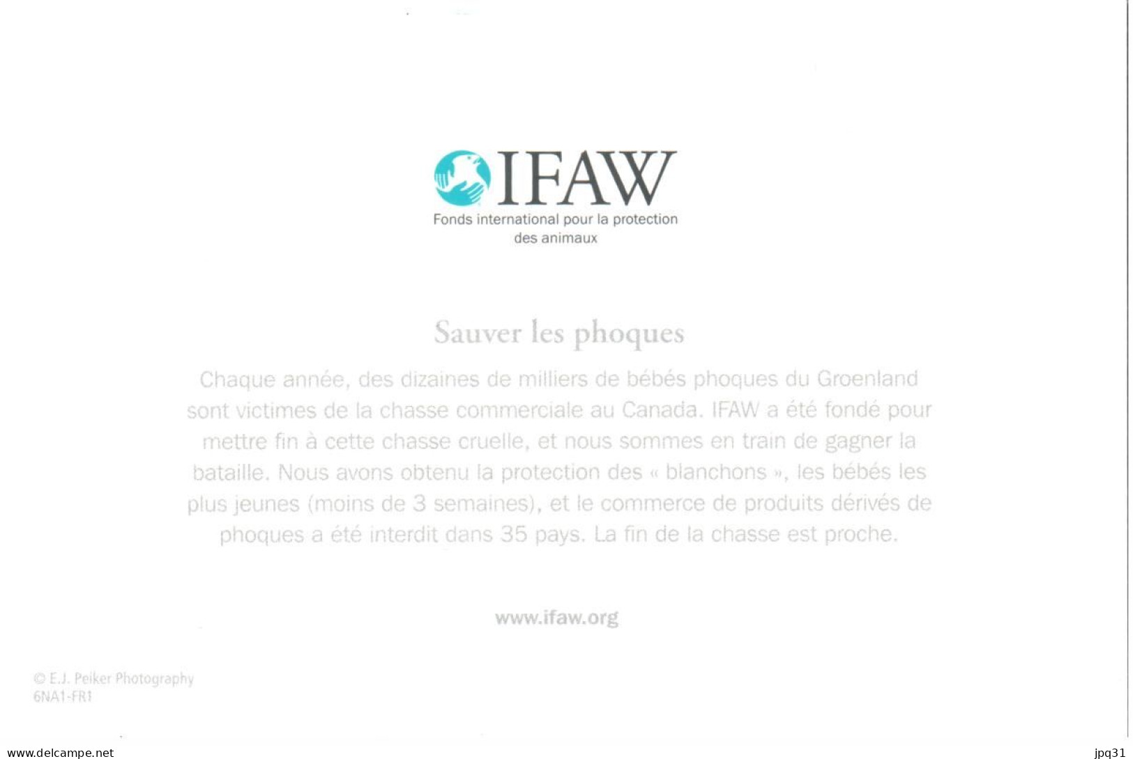 Carte Double IFAW Sauver Les Phoques - Ref 6NA1-FR1 - Altri & Non Classificati