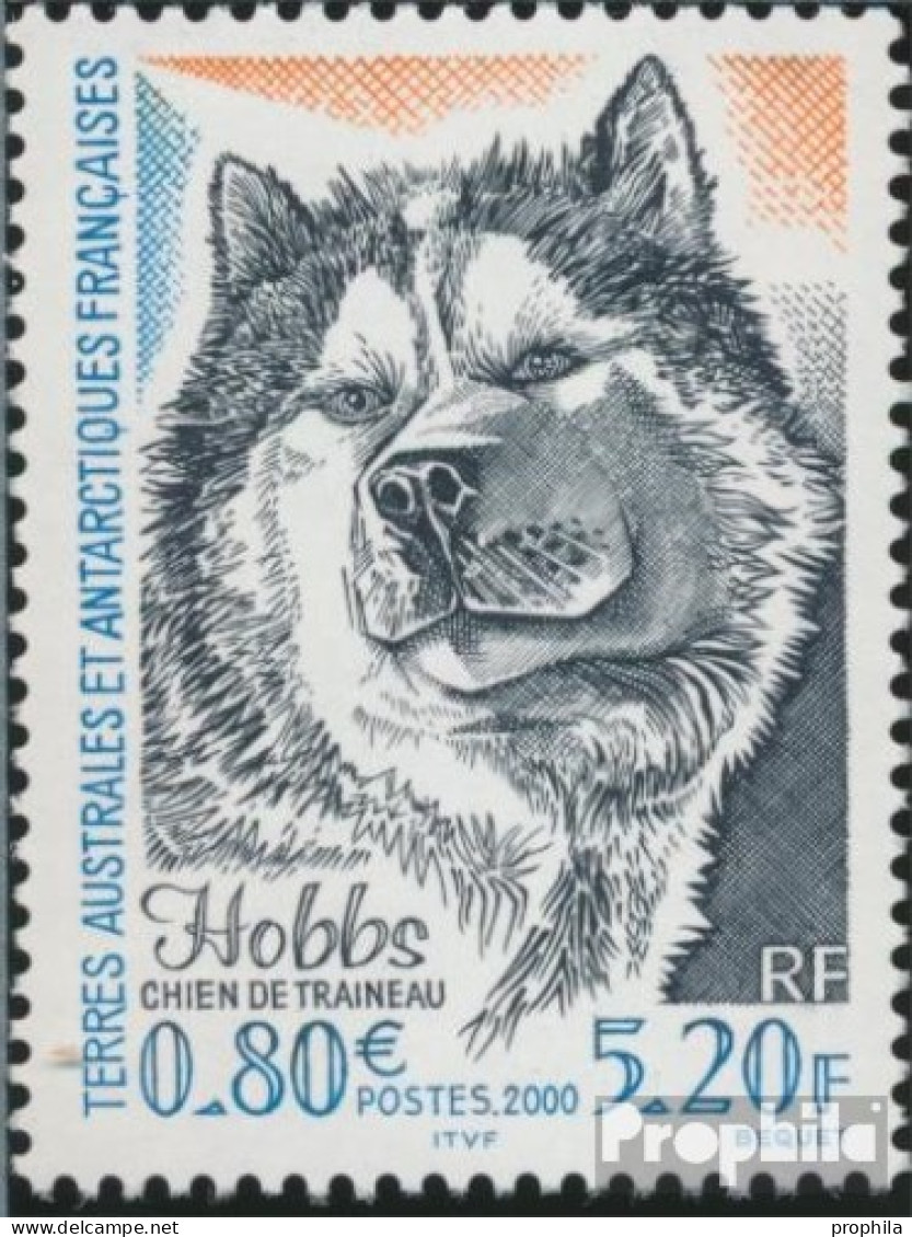 Französ. Gebiete Antarktis 426 (kompl.Ausg.) Postfrisch 2000 Schlittenhund - Neufs