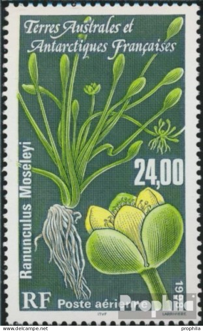 Französ. Gebiete Antarktis 384 (kompl.Ausg.) Postfrisch 1998 Pflanzen Der Antarktis - Unused Stamps