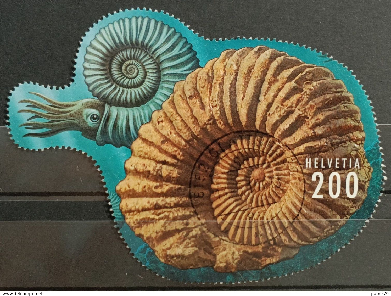 2015 Ammonit TOP Stempel - Gebraucht