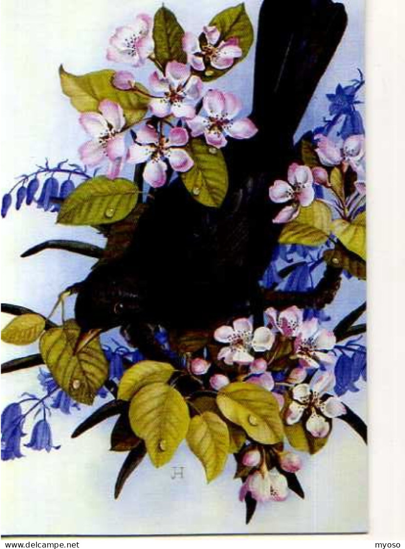 Carnet Museum Collection Great British Company, Illustrateur,Blackbird In Cherry Blossom - Vogels