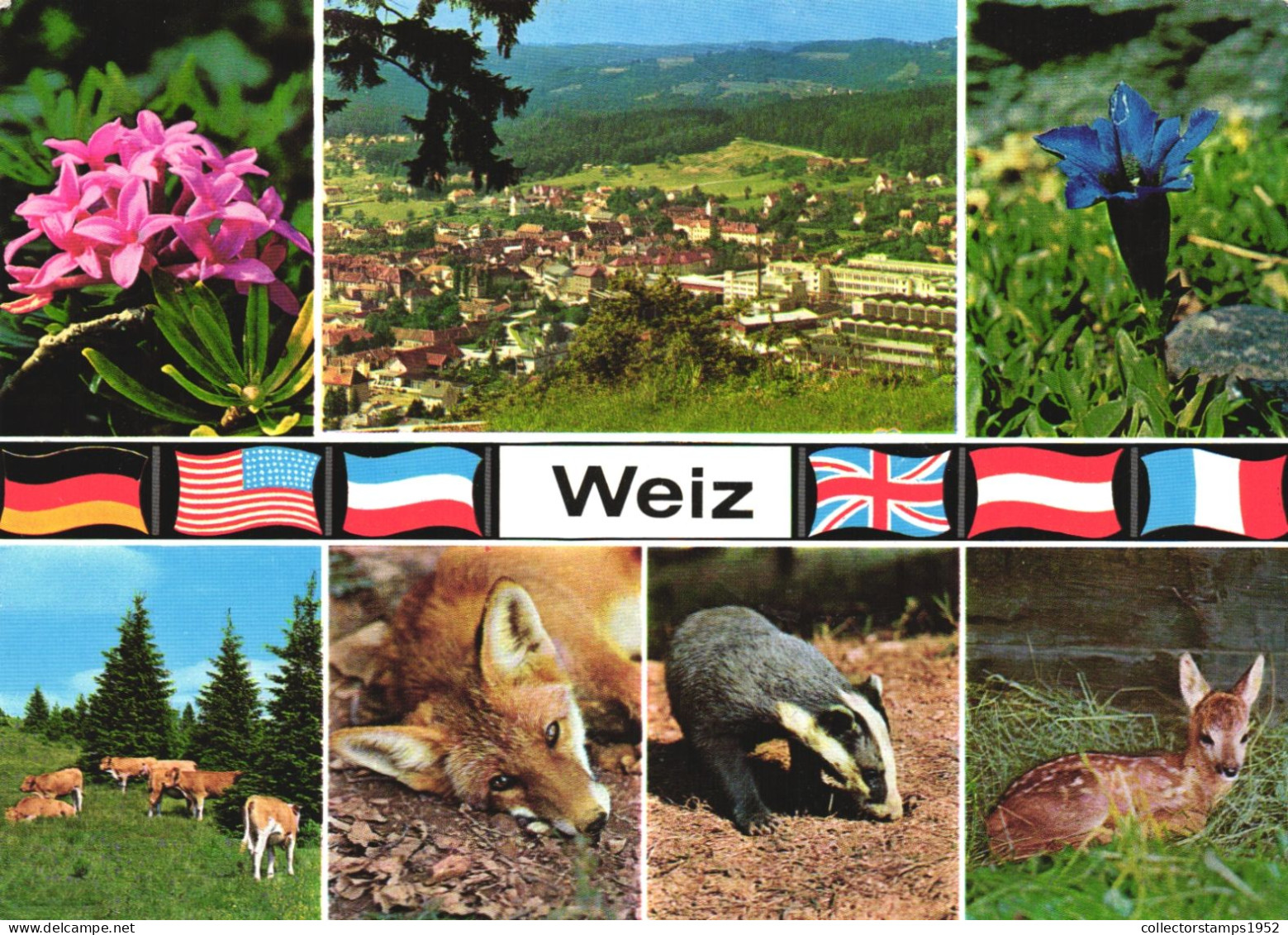 WEIZ, MULTIPLE VIEWS, ARCHITECTURE, FLOWERS, ANIMAL, FOX, COW, BADGER, DEER, FLAG, AUSTRIA, POSTCARD - Weiz