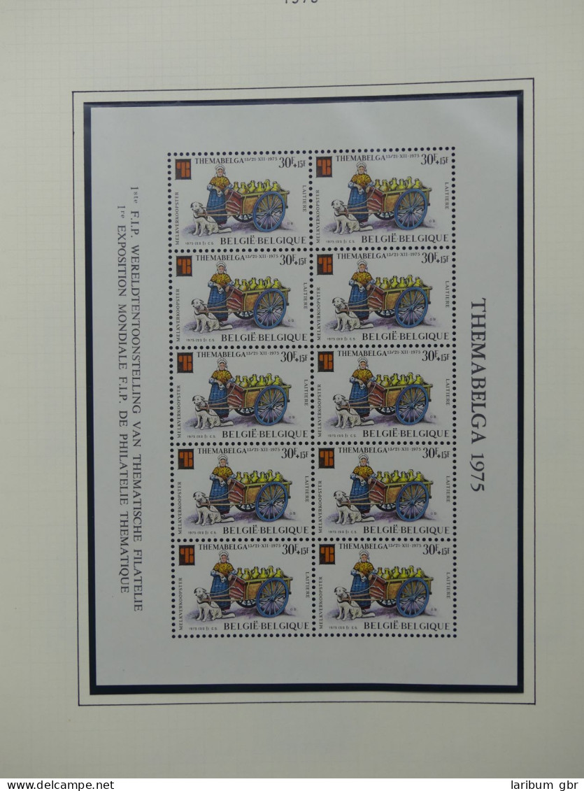 Belgien 1975-1990 postfrisch besammelt auf selbstgestalteten Seiten #LY824